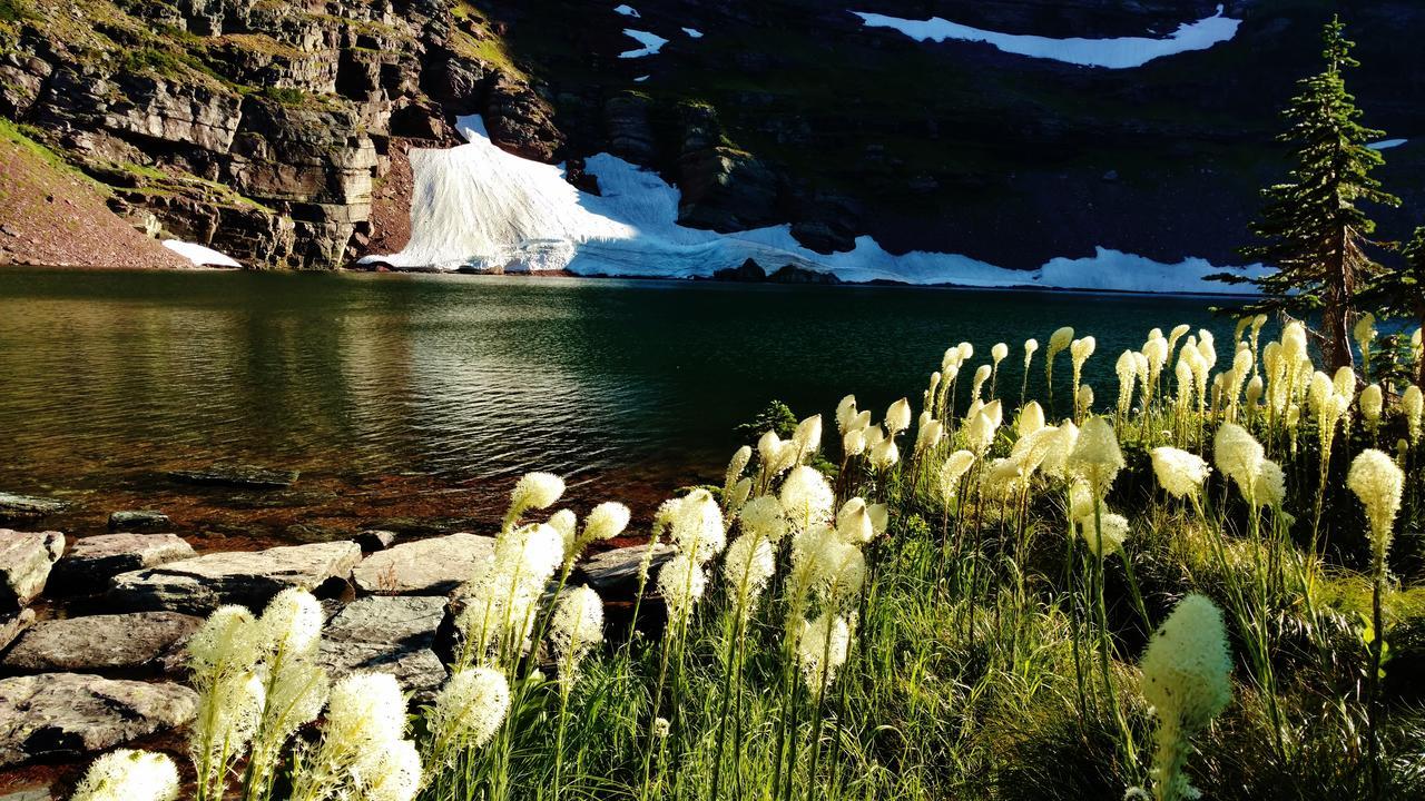 East Glacier Motel & CabinsEast Glacier Park Village エクステリア 写真